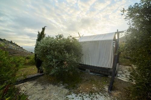 billion_stars_autumn_2023_styled_shoot_005